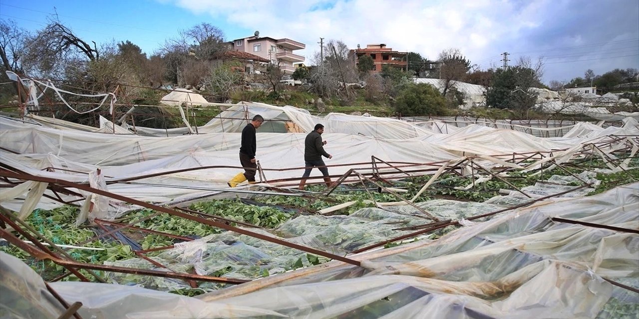 Alanya'da Hortum Sera ve Tarım Ürünlerine Zarar Verdi