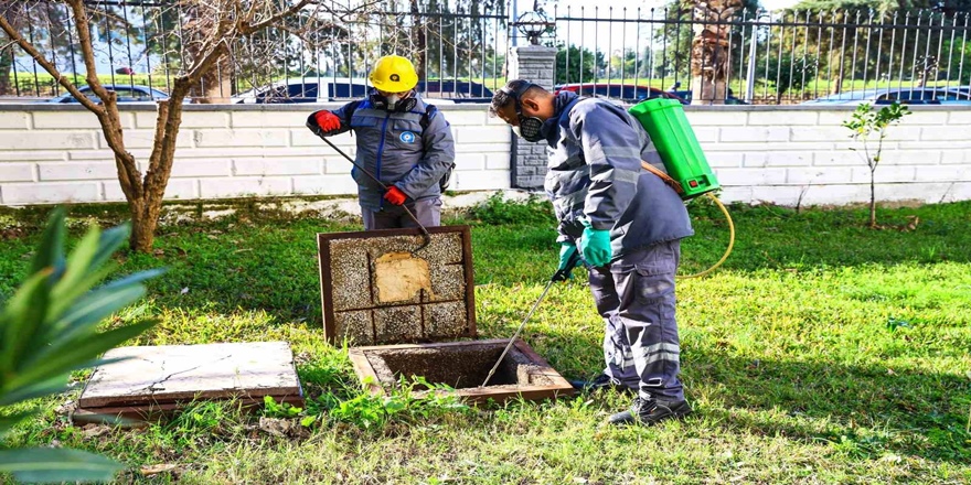 Antalya’da Vektörle Etkin Mücadele