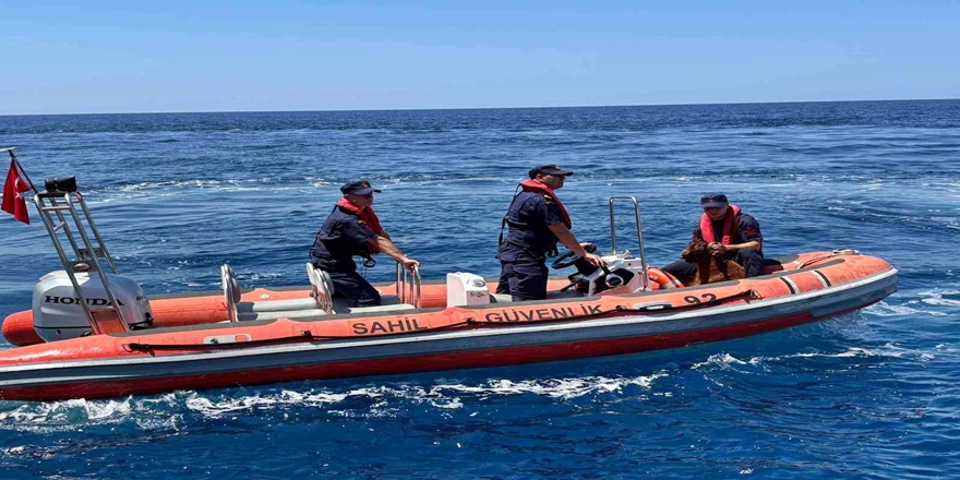 Alanya’da Kayalıkta Mahsur Kalan Keçi Kurtarıldı