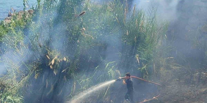 Alanya’da Çalılık Yangını: 1 Dönüm Alan Zarar Gördü