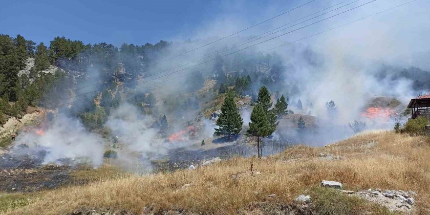 Alanya Söğüt Yaylası’nda Orman Yangını Çıktı