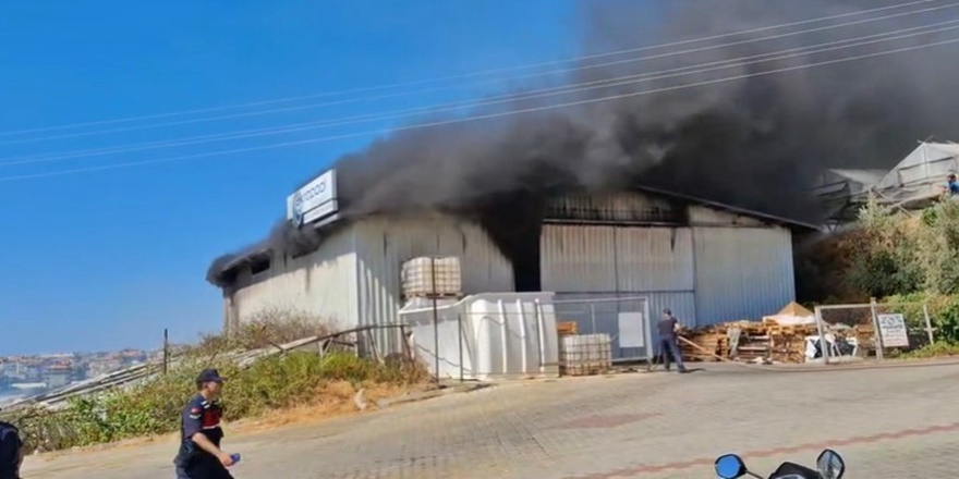 Alanya’da serada çıkan yangın paniğe yol açtı