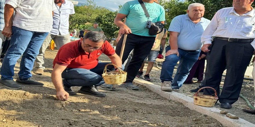 Alanya’da salep üretimi için ilk tohumlar toprağa atıldı
