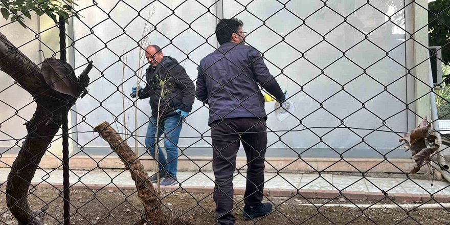 Alanya’da alacak verecek kavgası kanlı bitti: 1 yaralı
