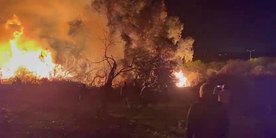 Manavgat D-400’de korkutan yangın: Alevler geceyi aydınlattı