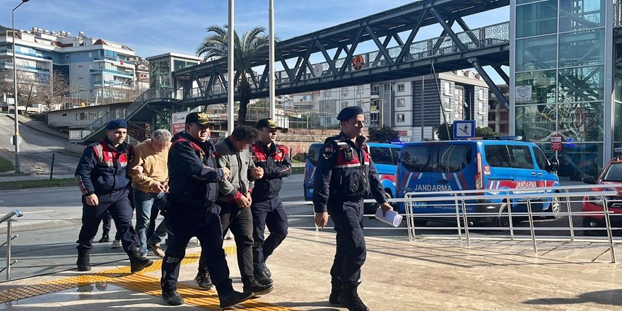 Alanya’da 500 Bin Liralık Avokado Hırsızlığı Geceyi Gerdi