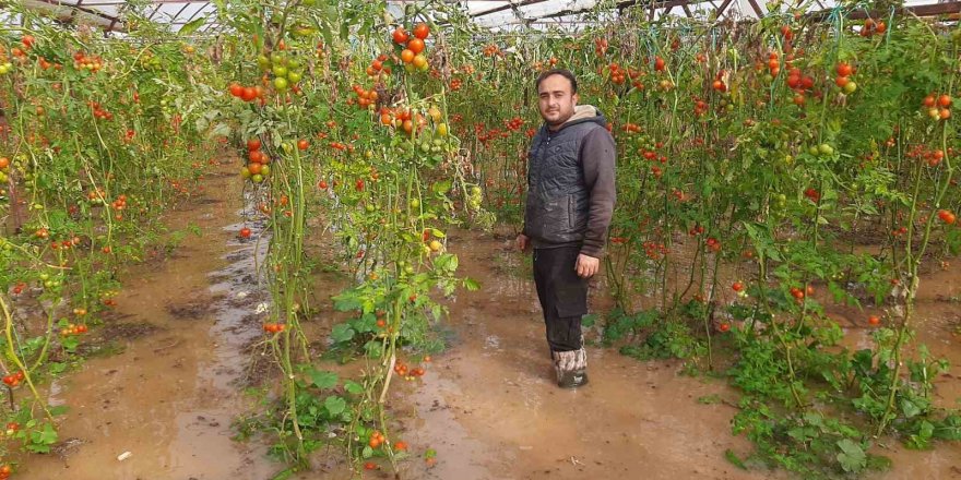 Kumluca'da Gece Yarısı Kabusu: Hortum Seraları Yerle Bir Etti