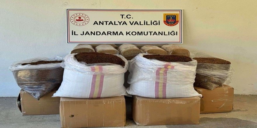 Gazipaşa’da Yolcu Otobüsünde 500 Kg Kaçak Tütün