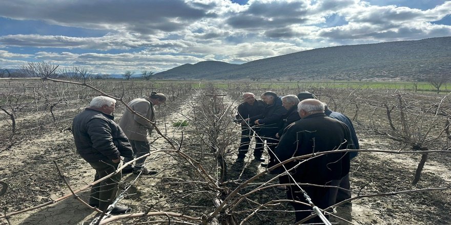 Korkuteli’nde Çiftçilere Uygulamalı Budama Eğitimi