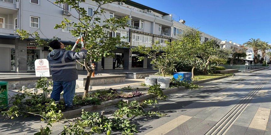 Kemer’de Bahar Bakımı: Büyükşehir Sahada