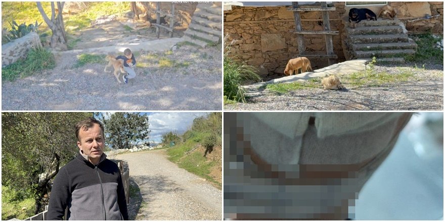 Gazipaşa’da sahipsiz köpek 7 yaşındaki çocuğu ısırdı