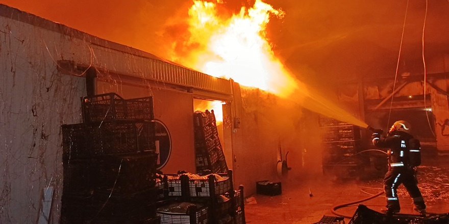 Manavgat’ta muz tesisinde korkutan yangın