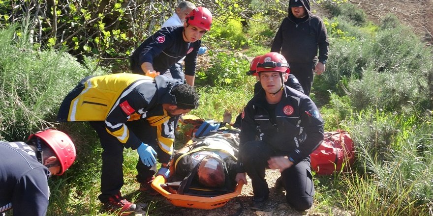 Falezlerden düştü, incir ağacı hayatını kurtardı