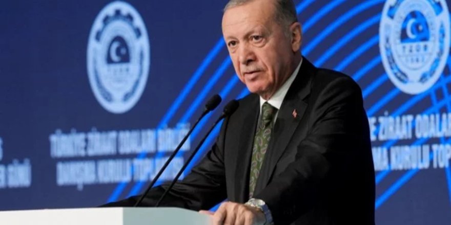 Tarımda değişim rüzgarları: Verimlilik ve sürdürülebilirlik için yeni vizyon