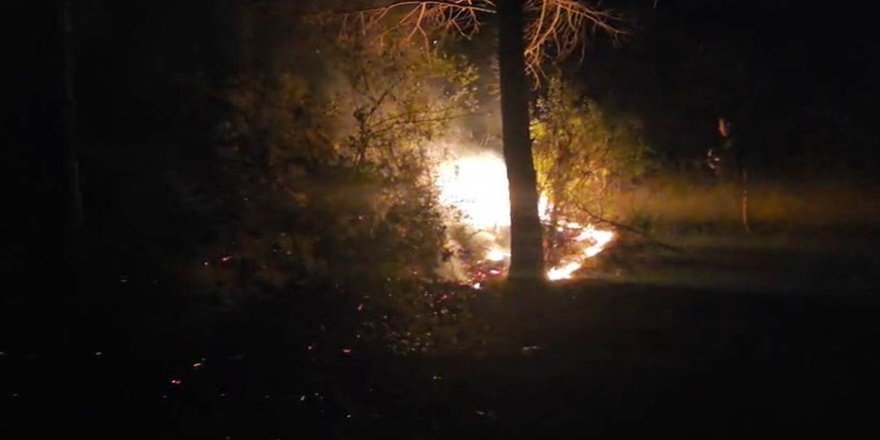 Alanya’da Orman Yangını Büyümeden Söndürüldü