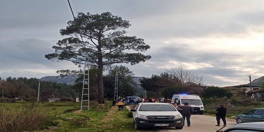 Serik’te Kamyonet Kasasından Düşen Kadın Öldü