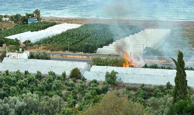 Alanya'da Avokado Bahçesi Yangını