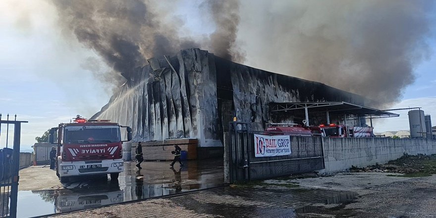 Manavgat’ta patates tesisinde korkutan yangın