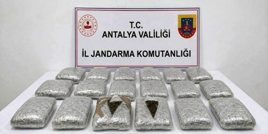 Antalya’da 30 kilo skunk ele geçirildi