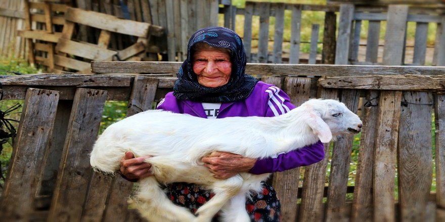 94 Yaşında Dağların Vazgeçilmez Çobanı Oldu