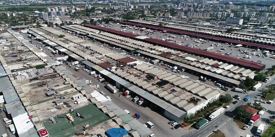 Antalya'da haziran verileri: Domates öne çıktı