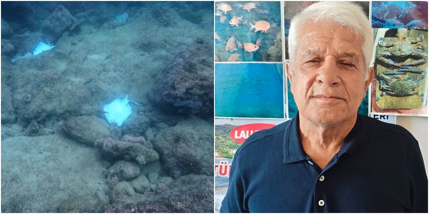 Antalya'da Deniz Dibindeki Ölü Vatozlar Endişelendirdi