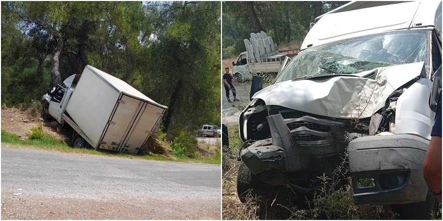 Alanya'da kamyonet ağaca çarptı: 1 ölü, 1 ağır yaralı