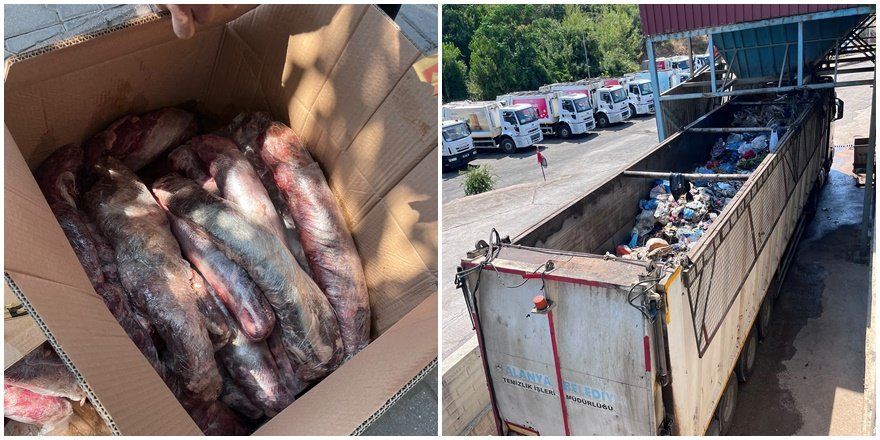 Alanya'da 300 kilo şüpheli et imha edildi