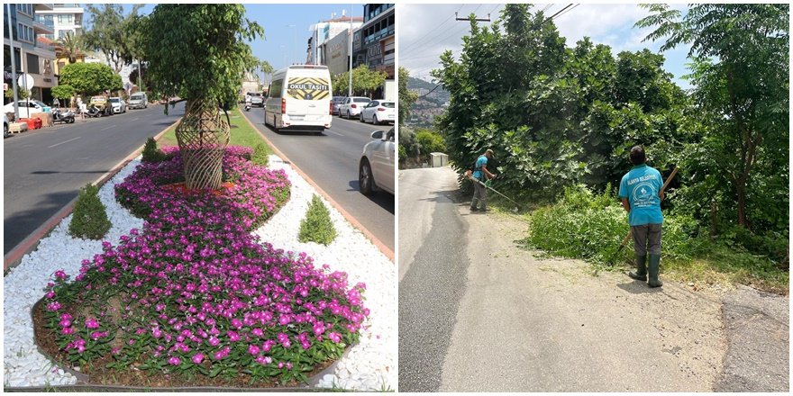 Alanya'da yeşil alanlar için yoğun bakım seferberliği