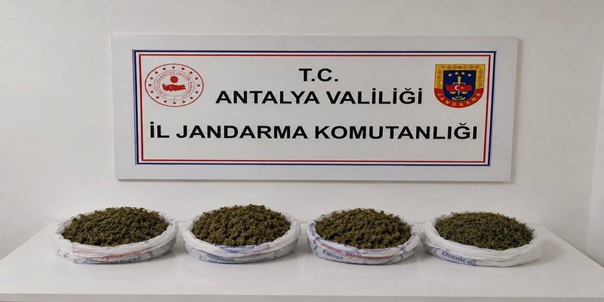 Alanya’da ev baskını: 1 kilo 979 gram esrar ele geçirildi