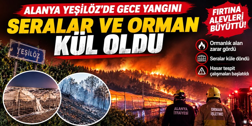 Alanya Yeşilöz’de Gece Yangını: Seralar ve Orman Kül Oldu
