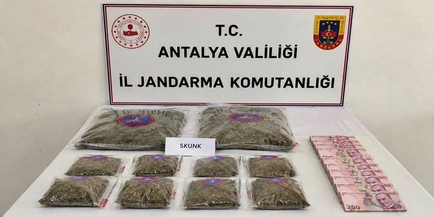 Antalya’da uyuşturucu operasyonu: 5,6 kilo skunk ele geçirildi