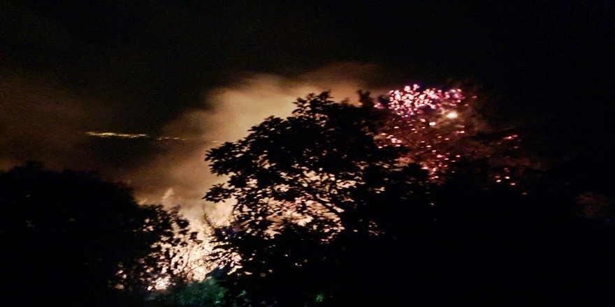 Alanya’da gece başlayan orman yangını kontrol altında