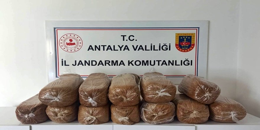 Antalya’da üç ilçede kaçak tütün operasyonu