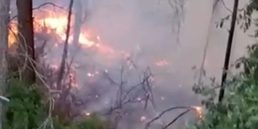 Alanya’da yıldırım ormanı tutuşturdu: 1 dönüm yandı