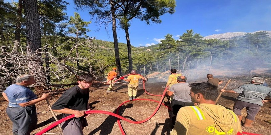 Beşkonak'ta enerji hattı koptu, orman yangını çıktı