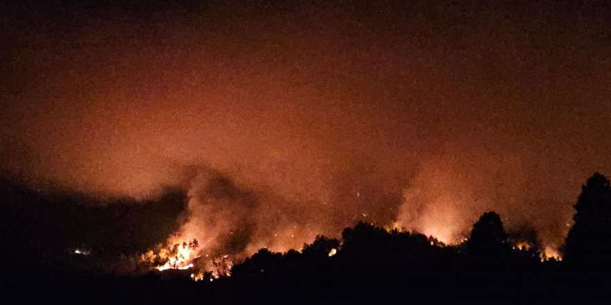 Antalya Serik'te yangının enerjisi düşürüldü