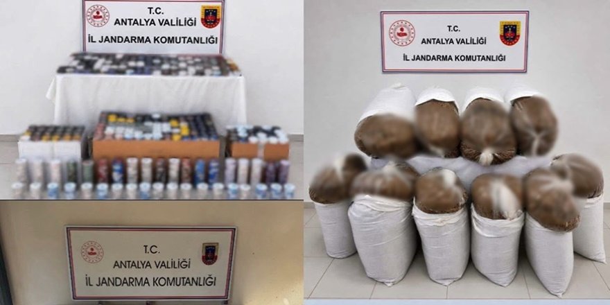 Antalya’da 1 ton 150 kilo kıyılmış tütün yakalandı
