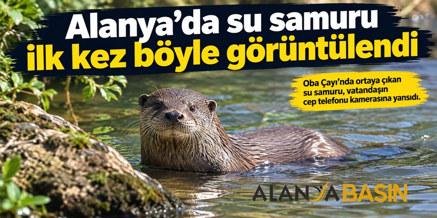 Alanya’da su samuru ilk kez böyle görüntülendi