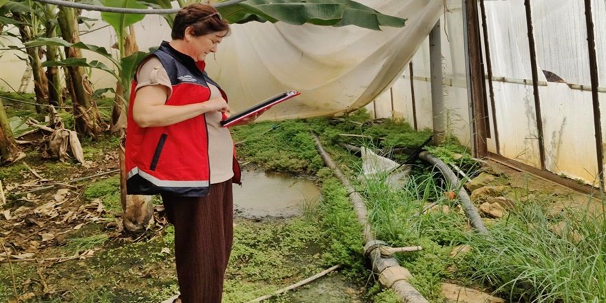 Alanya'da 22 bin dekar serada kapsamlı inceleme
