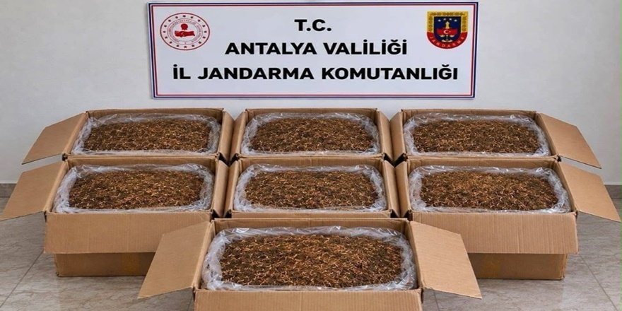 Alanya ve Döşemealtı’nda Kaçak Tütün Operasyonu