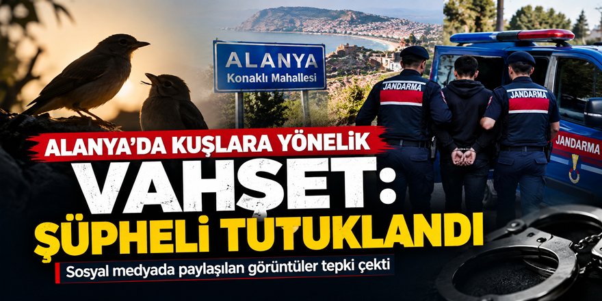 Alanya’da kuşlara yönelik vahşet sonrası tutuklama