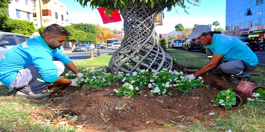 Alanya’da Çiçek Dikimi Başladı