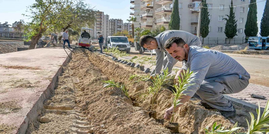 Ay Deresi Yaşam Bahçesine Dönüşüyor