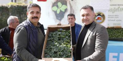 Başkan Yücel'den Üreticilere Ücretsiz 500 Bin Fide