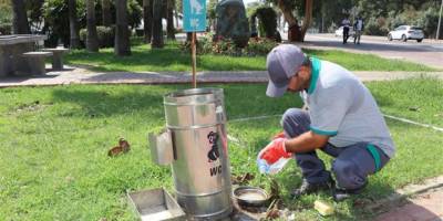 Alanya Belediyesi’nden Sokak Hayvanlarına Destek