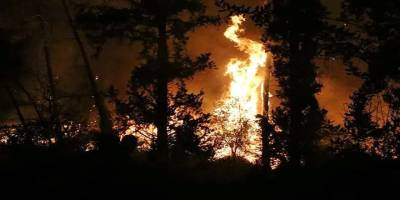 Alanya, Milas ve Aydın’da orman yangını! Evlere sıçradı