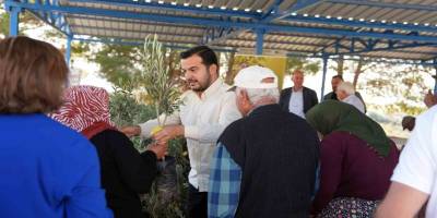Alanya’da Yangın Sonrası 3 Bin 400 Zeytin Fidanı Dağıtıldı