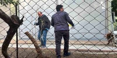 Alanya’da alacak verecek kavgası kanlı bitti: 1 yaralı