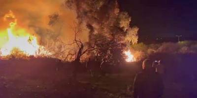 Manavgat D-400’de korkutan yangın: Alevler geceyi aydınlattı